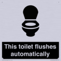 this-toilet-flushes-automatically~